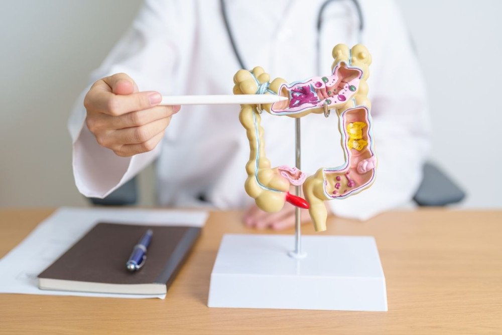 mikrobiom-chudnutie-jedalnicek-zdravie